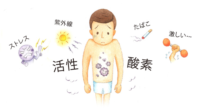活性酸素とは。